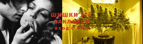 гидра Верхний Тагил