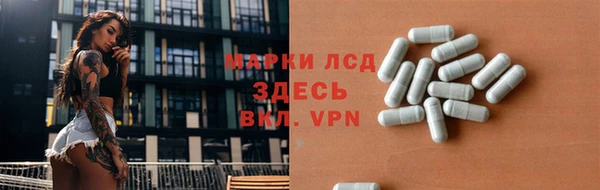 ПСИЛОЦИБИНОВЫЕ ГРИБЫ Бородино