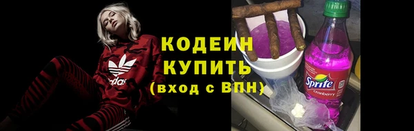 гидра Верхний Тагил