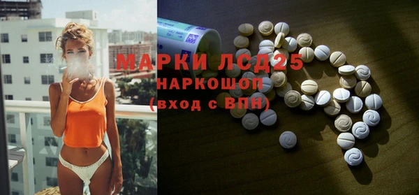 гидра Верхний Тагил