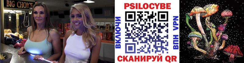 закладки  Гай  Галлюциногенные грибы Cubensis 